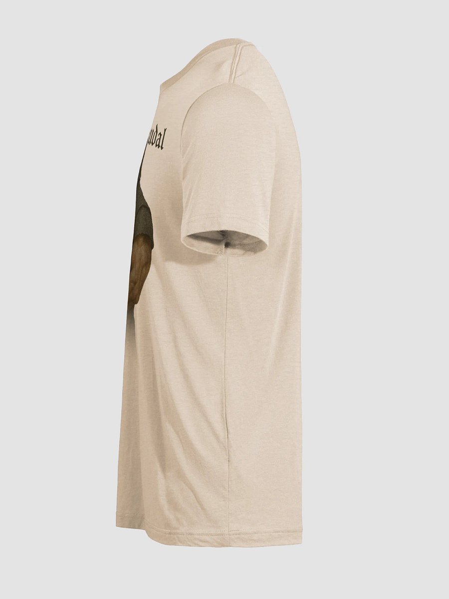 Daddy Feudal Tri-Blend T-Shirt product image (8)