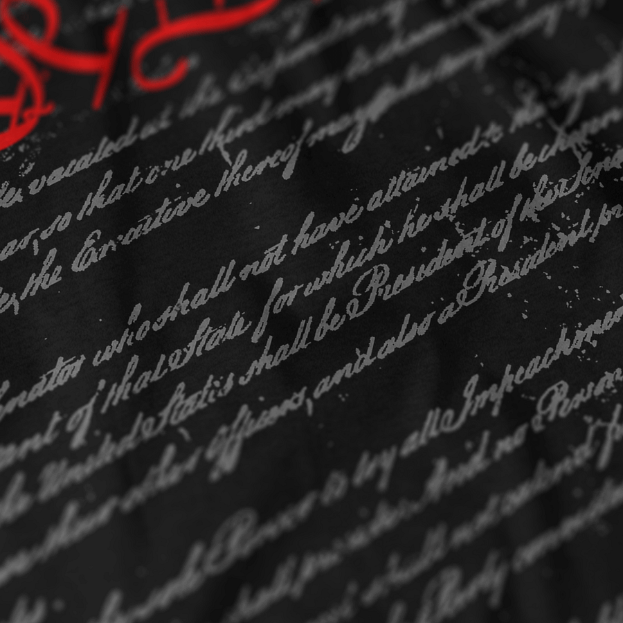 The Constitution product image (2)