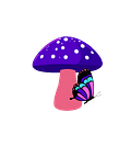 SaphyStudios