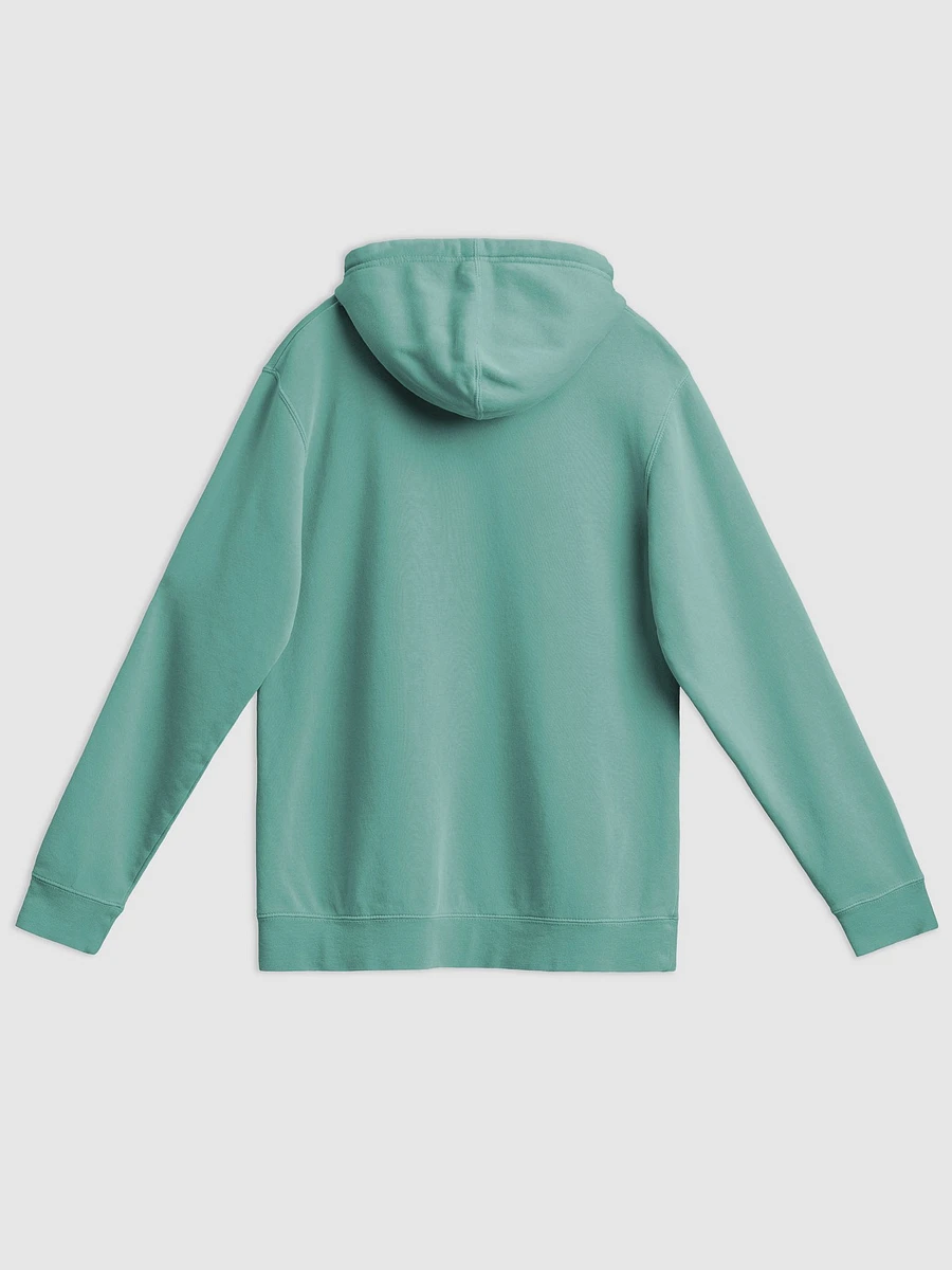 Dumbest Adult Pigment Dyed Hoodie product image (2)