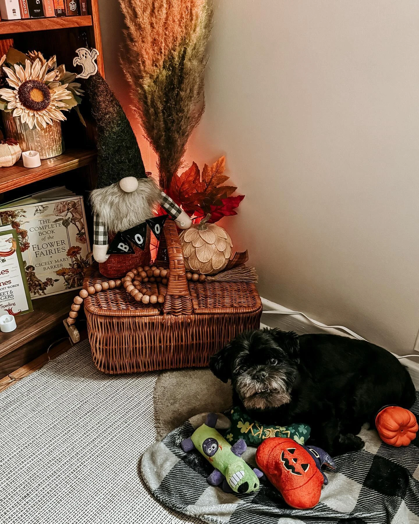 just a boy and his toys 🧡🎃

reason # 528226 why he matches my freak - we both like to create a comfy little nest with our fav...