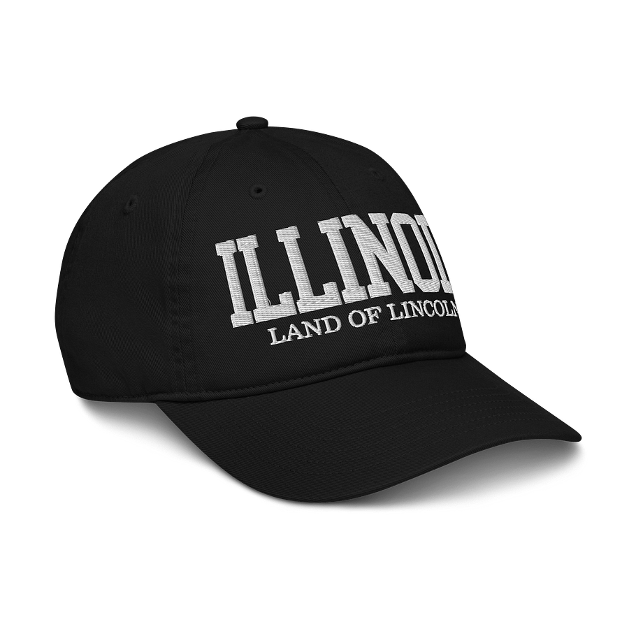 Illinois Land of Lincoln Organic Baseball Cap product image (9)