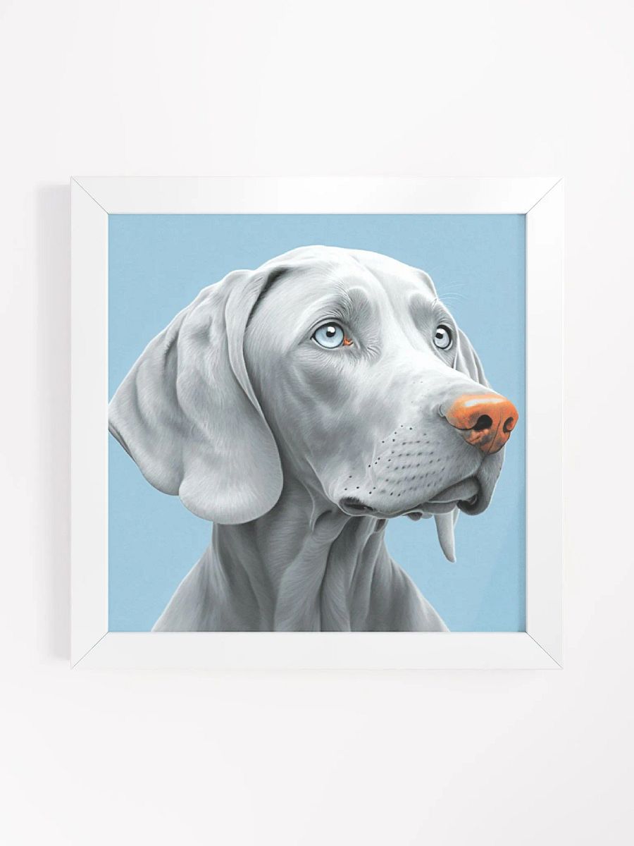 SkyGaze Weim product image (2)