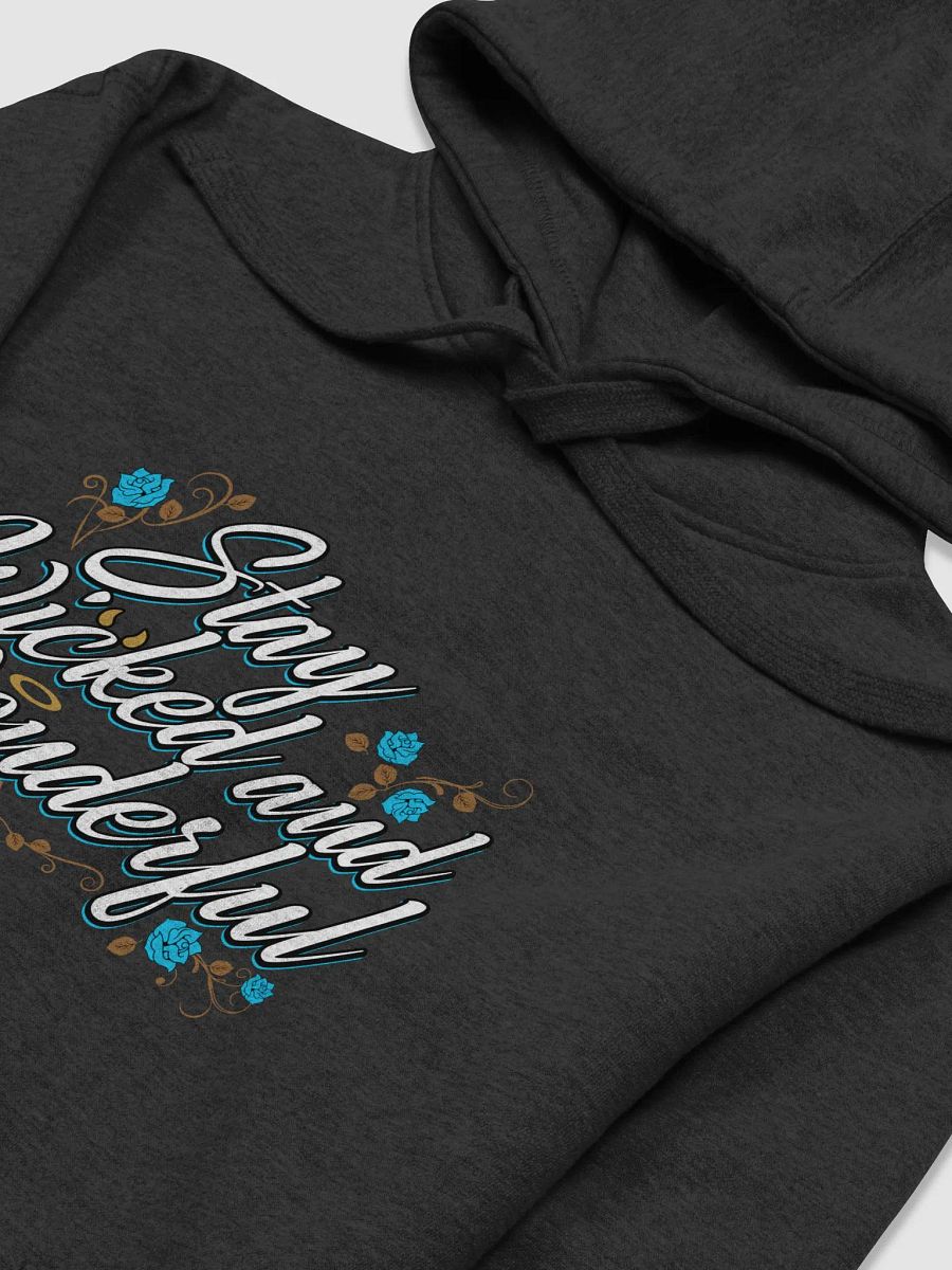 Wicked and Wonderful Hoodie product image (3)