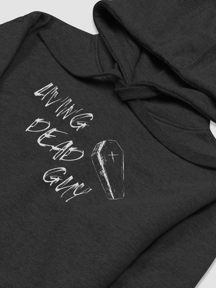 mens embroidered LDG hoodie in black product image (3)