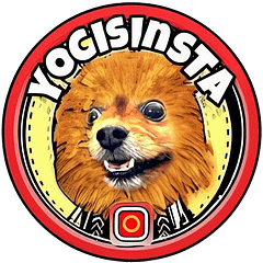 Yogisinsta