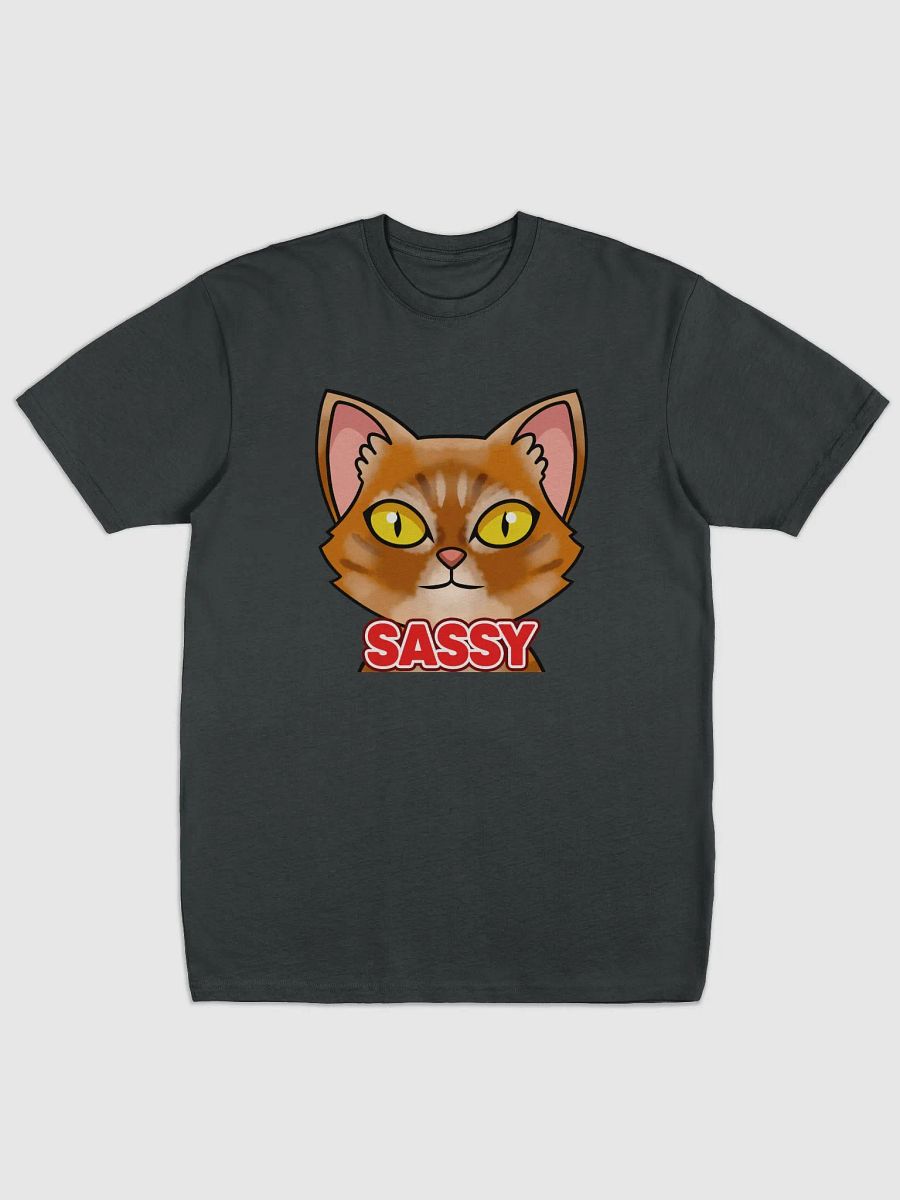 SASSY Shirt, Front product image (2)