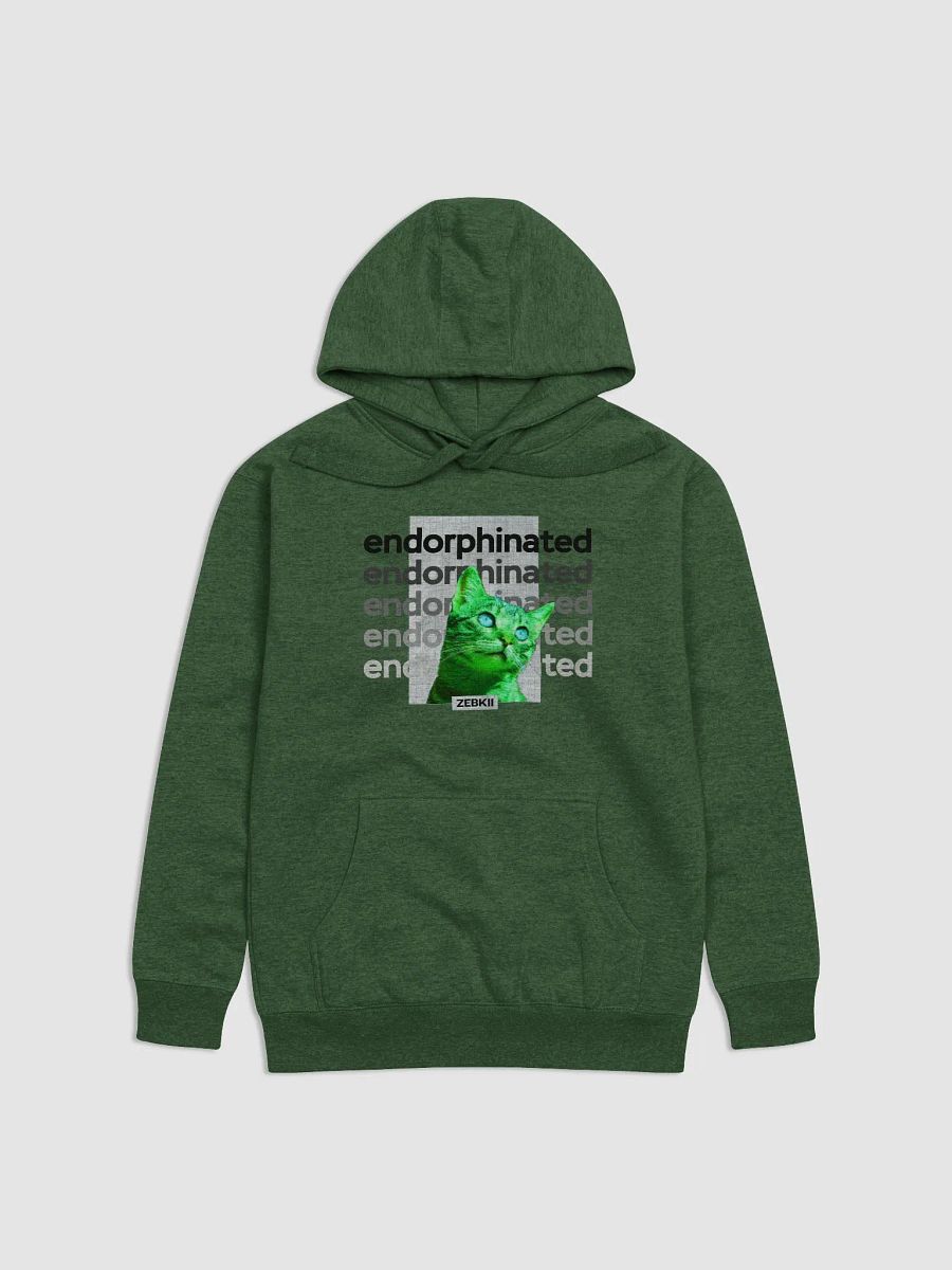 Endorphinated Hoodie product image (1)