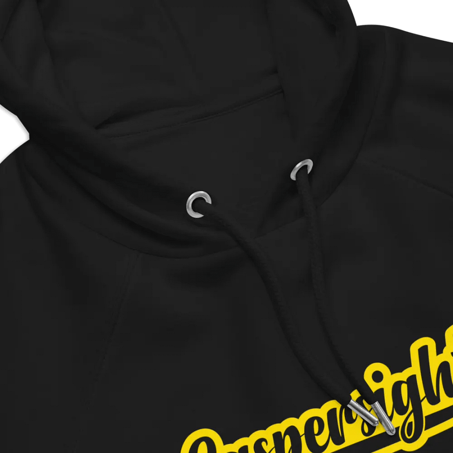 Eco Raglan Hoodie: Unisex Style product image (3)
