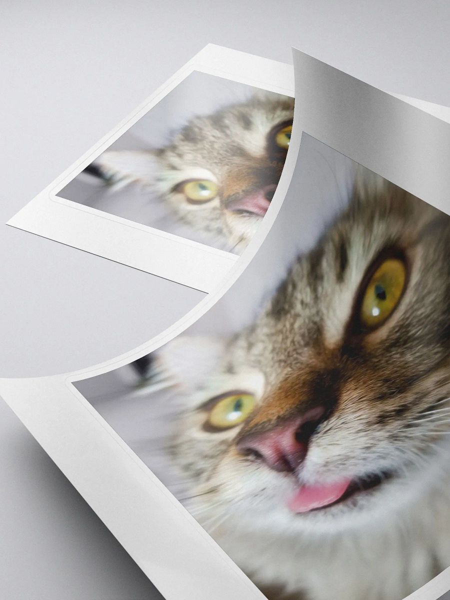 FidgGOON Sticker product image (4)