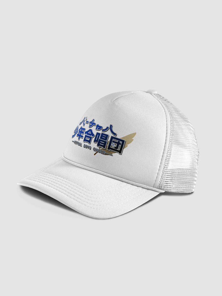 Virtual boys choir hat product image (4)