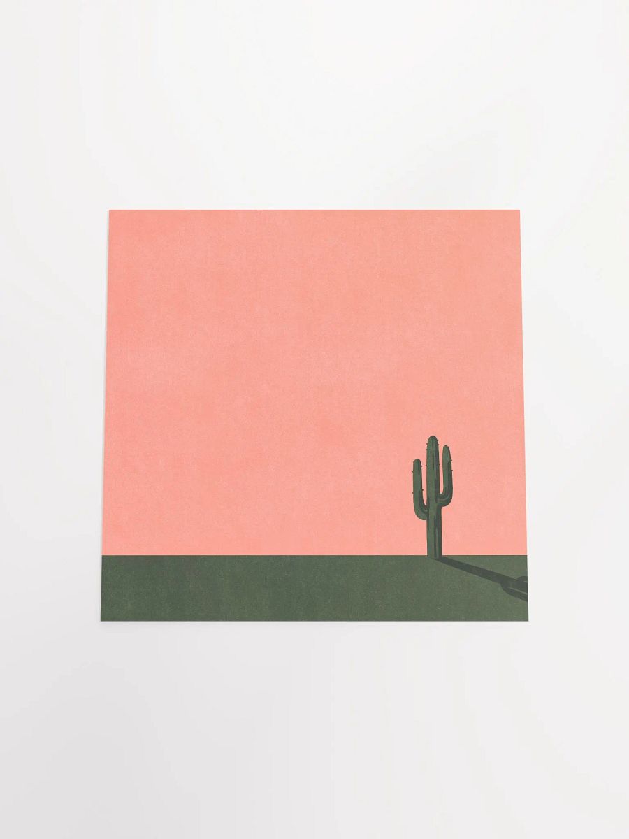 Cactus product image (4)