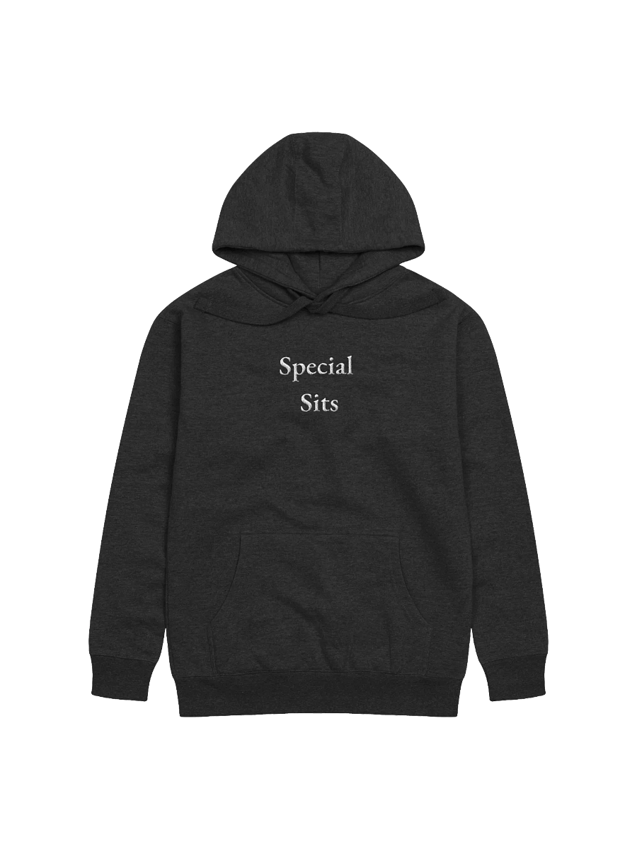 Special Sits - Hoodie product image (1)