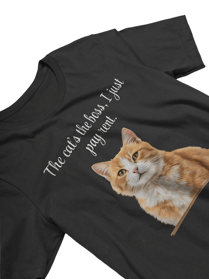 THE CAT’S THE BOSS, I JUST PAY RENT. product image (17)