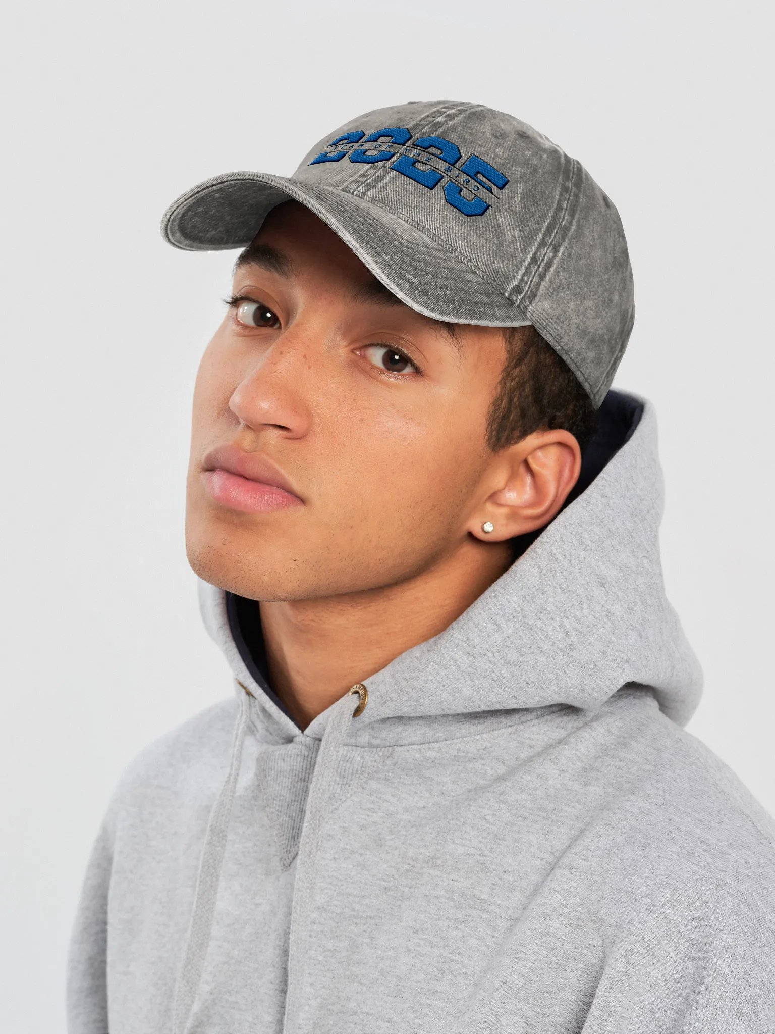 Blue "Year of the Bird" Vintage Cap product image (5)