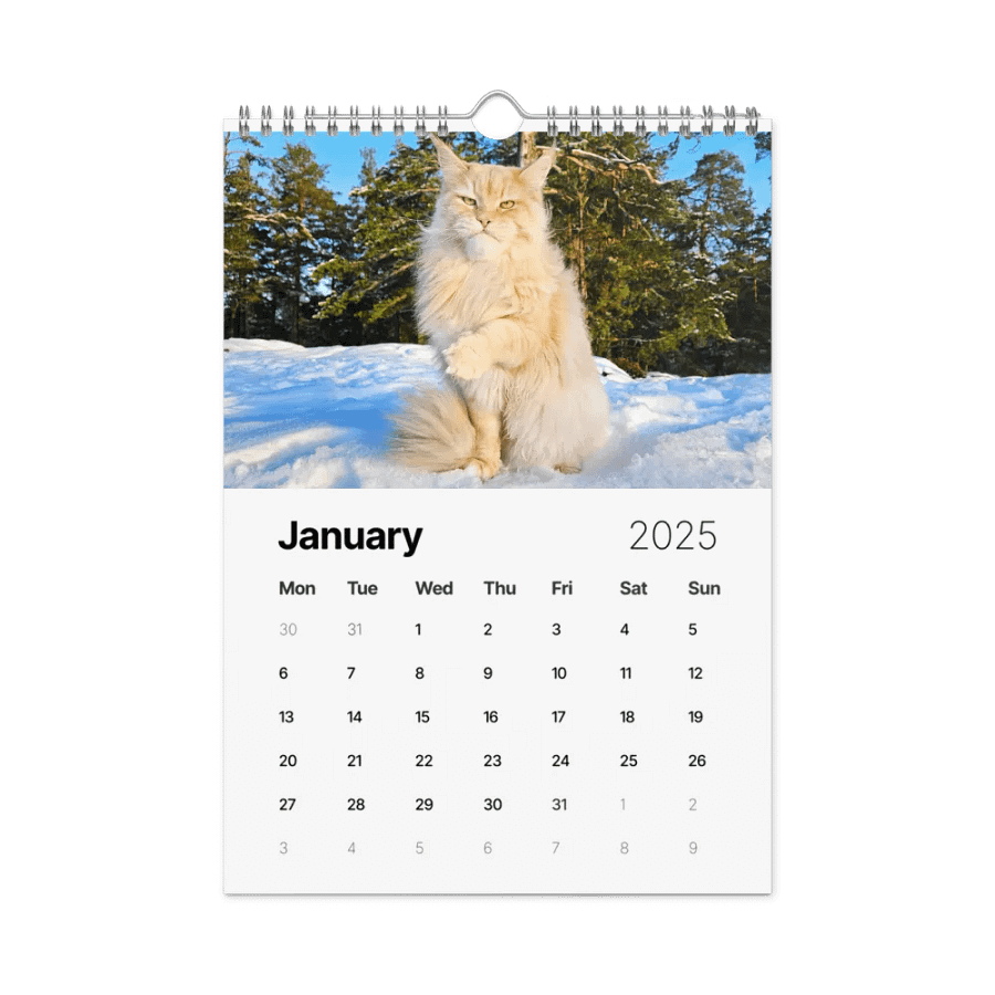 2025 Calendar - Maine Coon Adventures + Kittens product image (6)