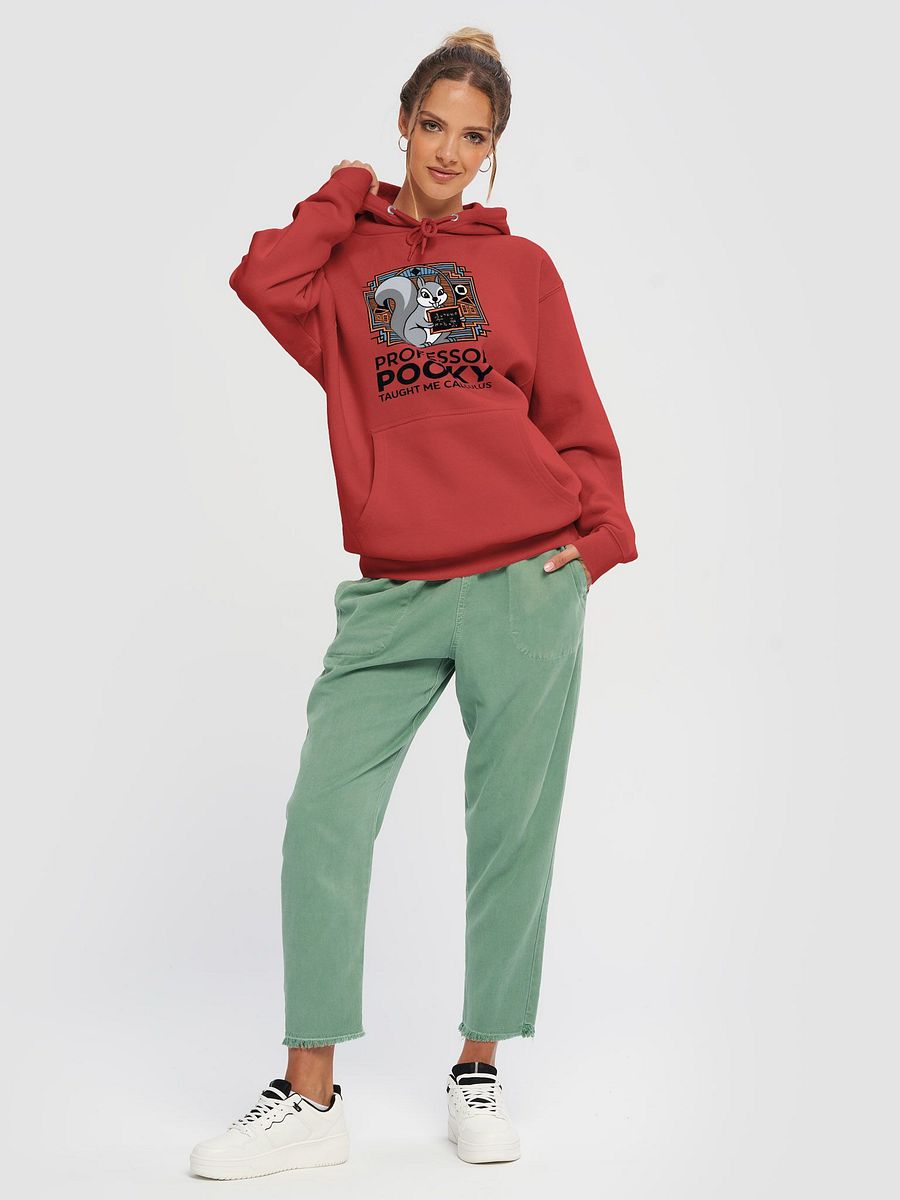Premium, super soft Hoodie, Prpofessor Pooky Taught me calculus, geometric design product image (5)
