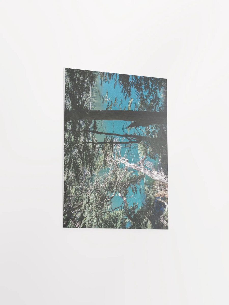 Lago Espejo Patagonia - Enhanced Matte Paper Poster product image (4)
