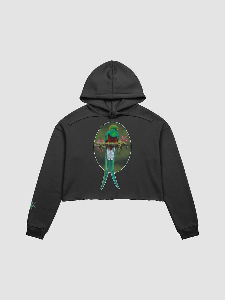 Resplendent Quetzal - SFA Crop Hoodie product image (5)