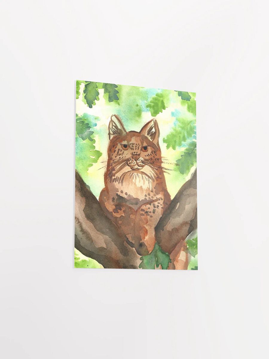 Lynx In A Tree Art Print product image (9)