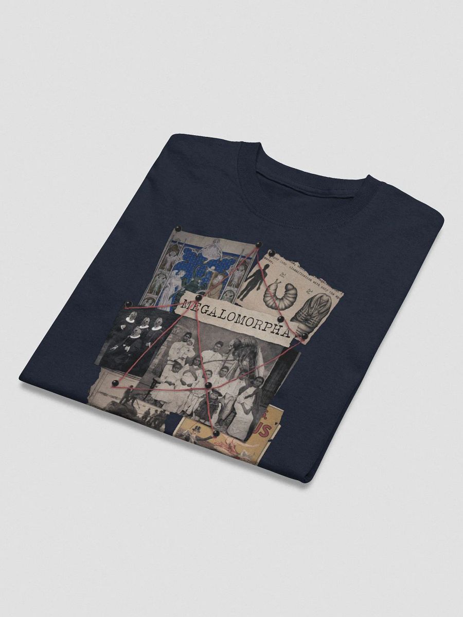 Megalomorpha product image (3)