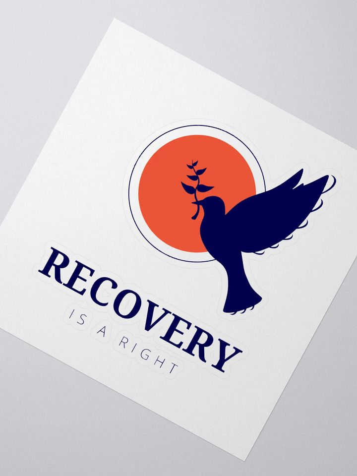 Recovery is a Right product image (5)