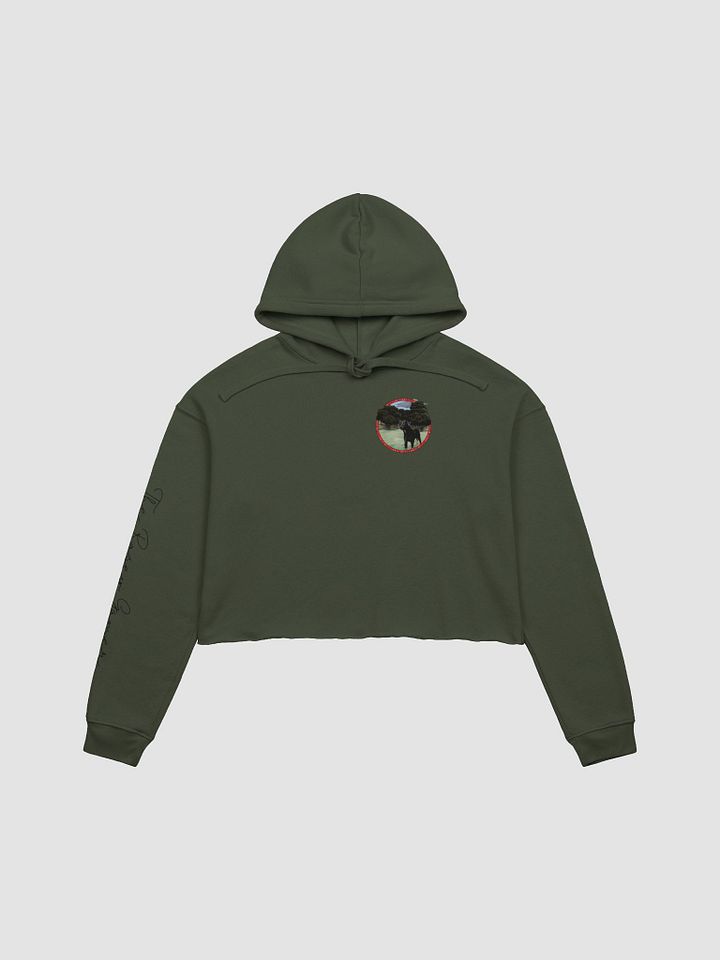 Kirby Club Crop Hoodie product image (1)