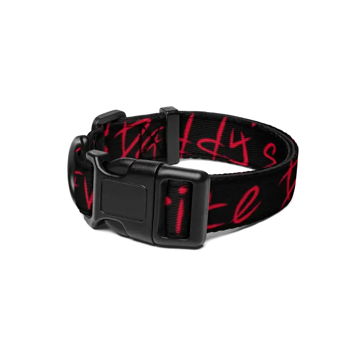 Daddy's Favorite Demon Collar product image (1)