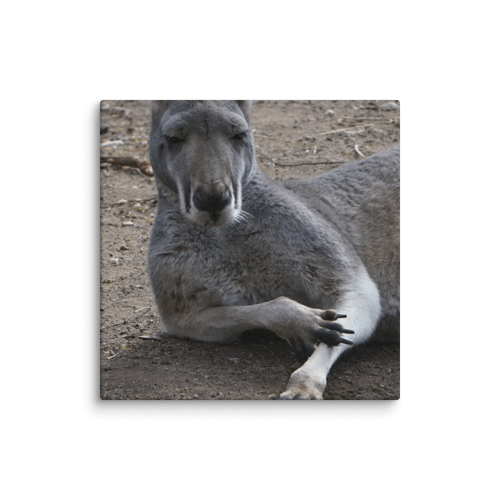 Kangaroo on a Canvas product image (2)