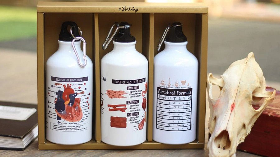 Canine Body System Sports Jug Set product image (12)