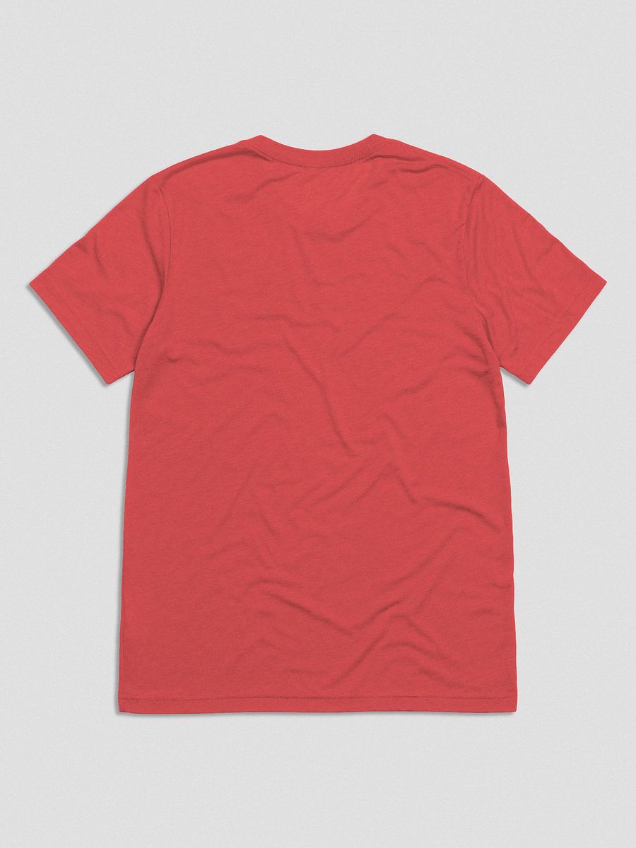 Pedantic T-Shirt (White Text, Tri-Blend) product image (13)