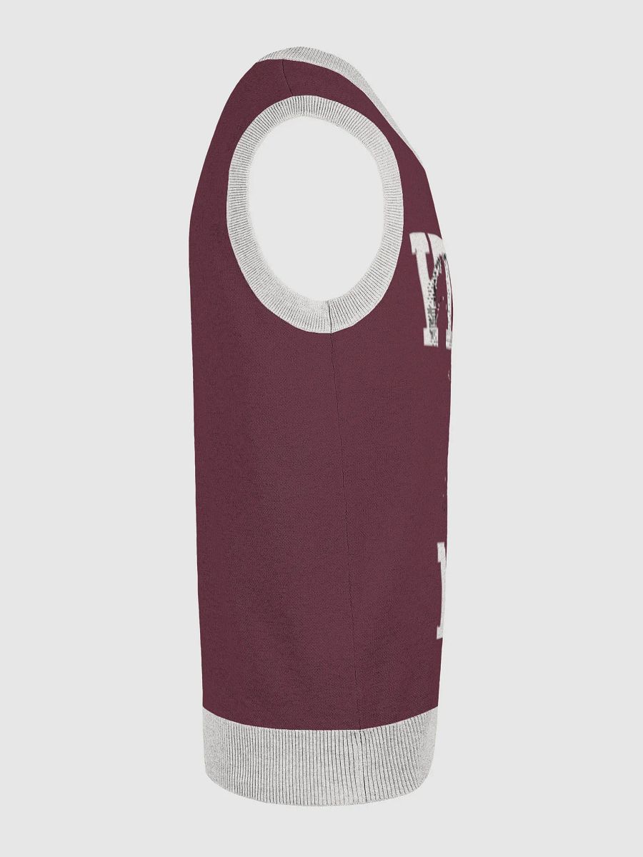 Mouthful of Style Knitted V-Neck Vest product image (24)