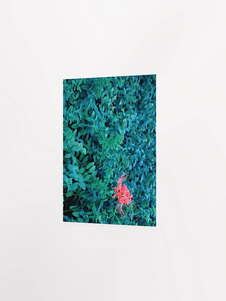 A Study in Flowers 10 product image (19)
