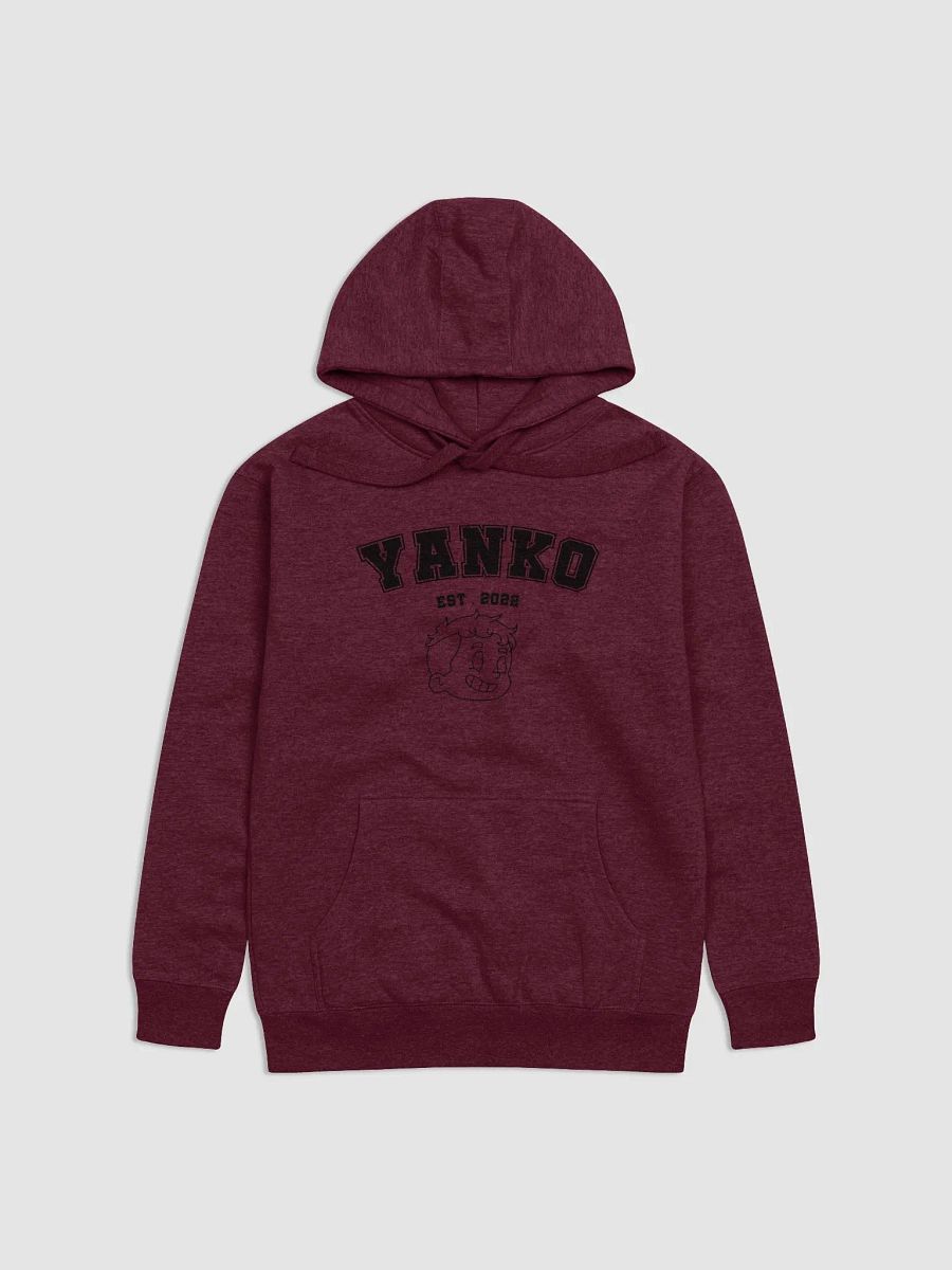 YANKO HOODIE product image (3)