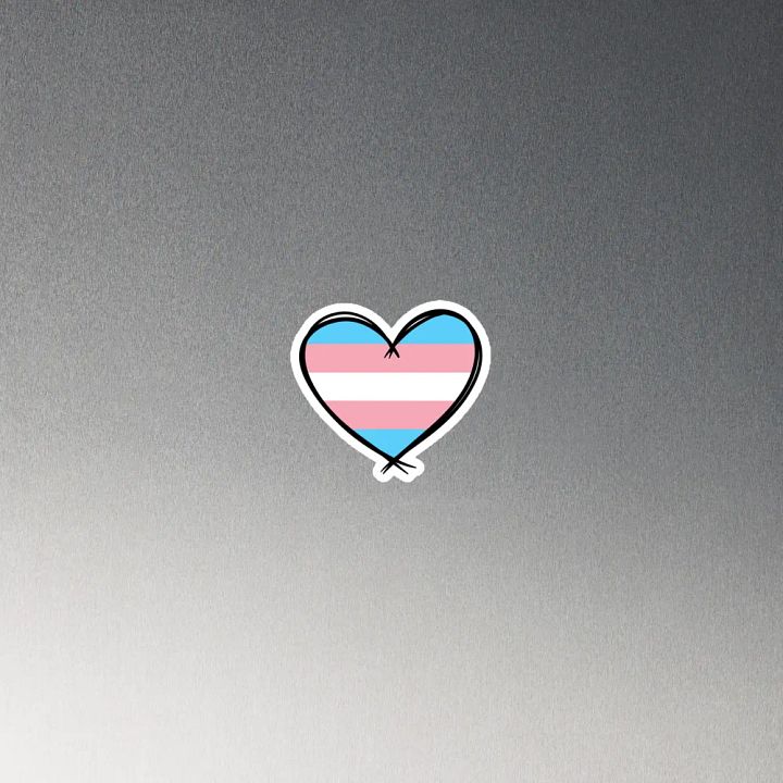 Transsexual Pride Magnet product image (4)