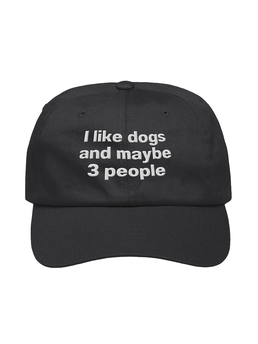 I like dogs and maybe 3 people Embroidered Hat product image (1)