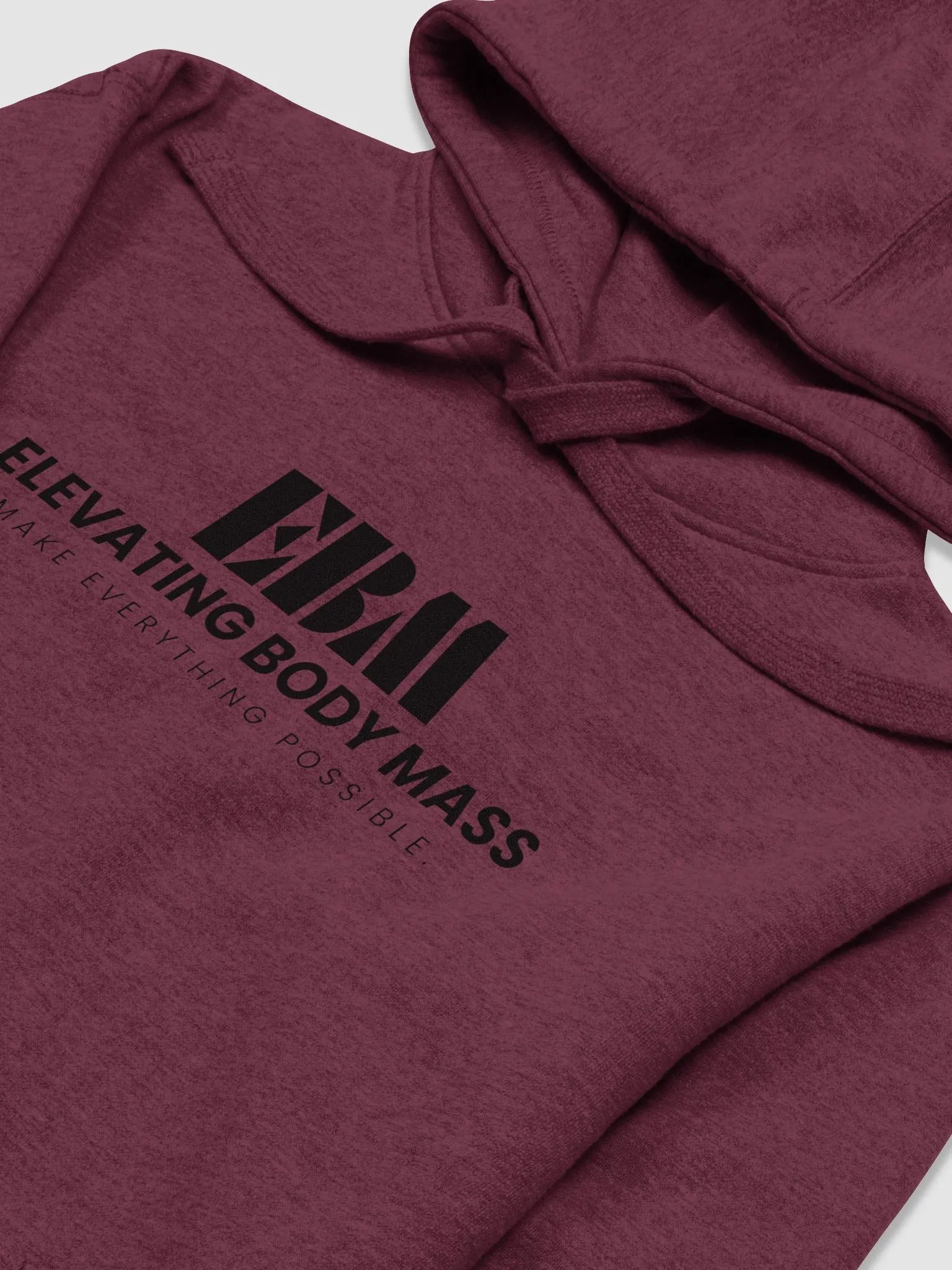 EBM Hoodie (Black Logo) product image (3)