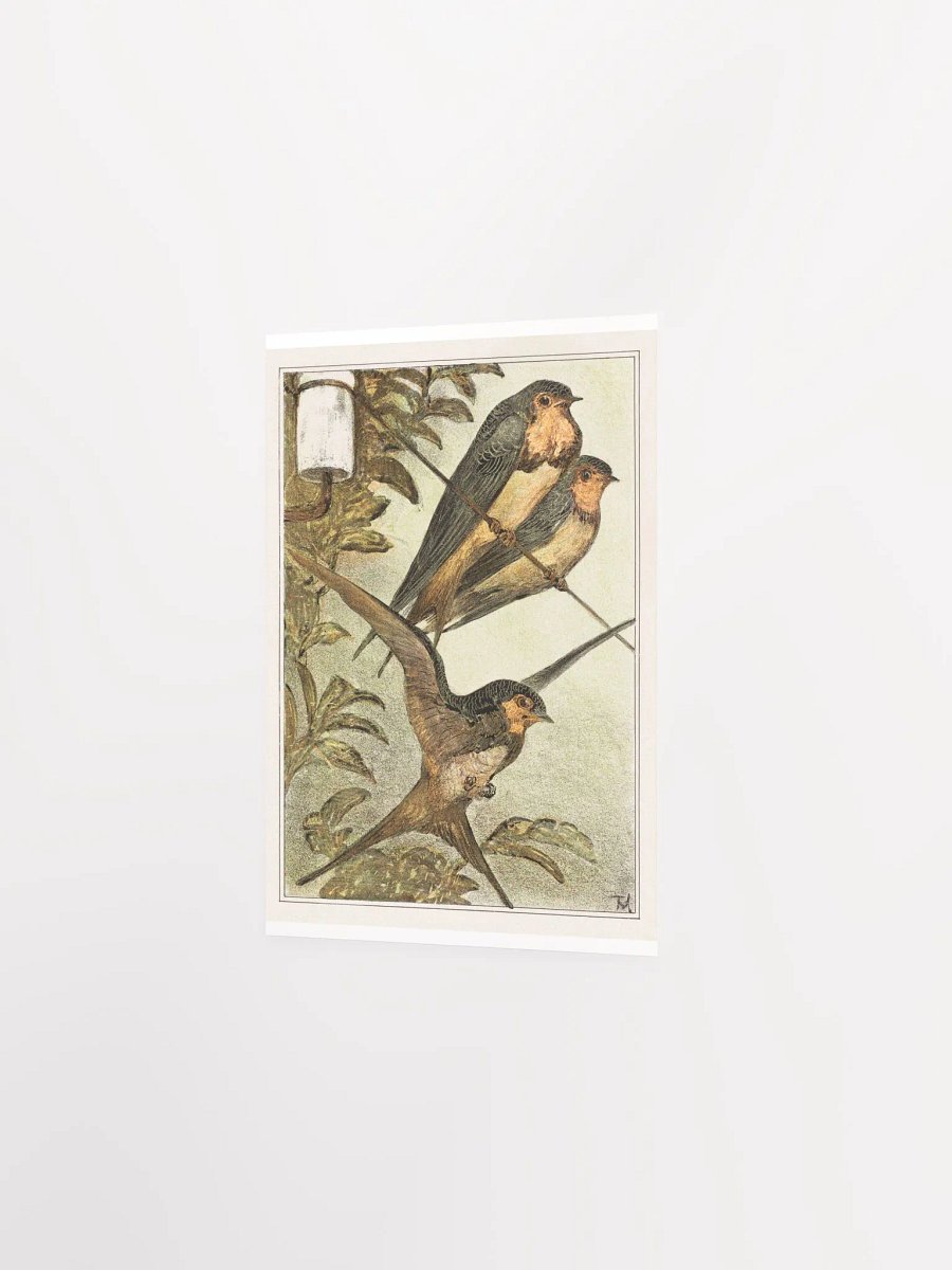 Three Owls- Drie zwaluwen product image (7)