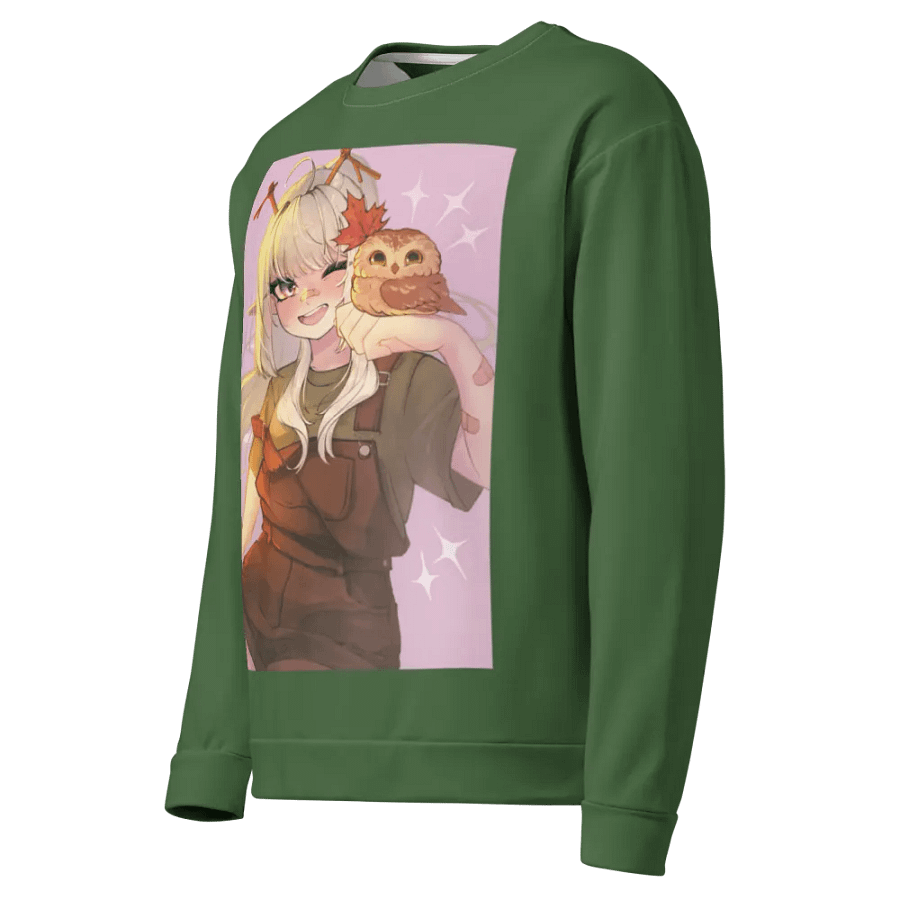 Northern Saw-whet Owl Sweater product image (4)