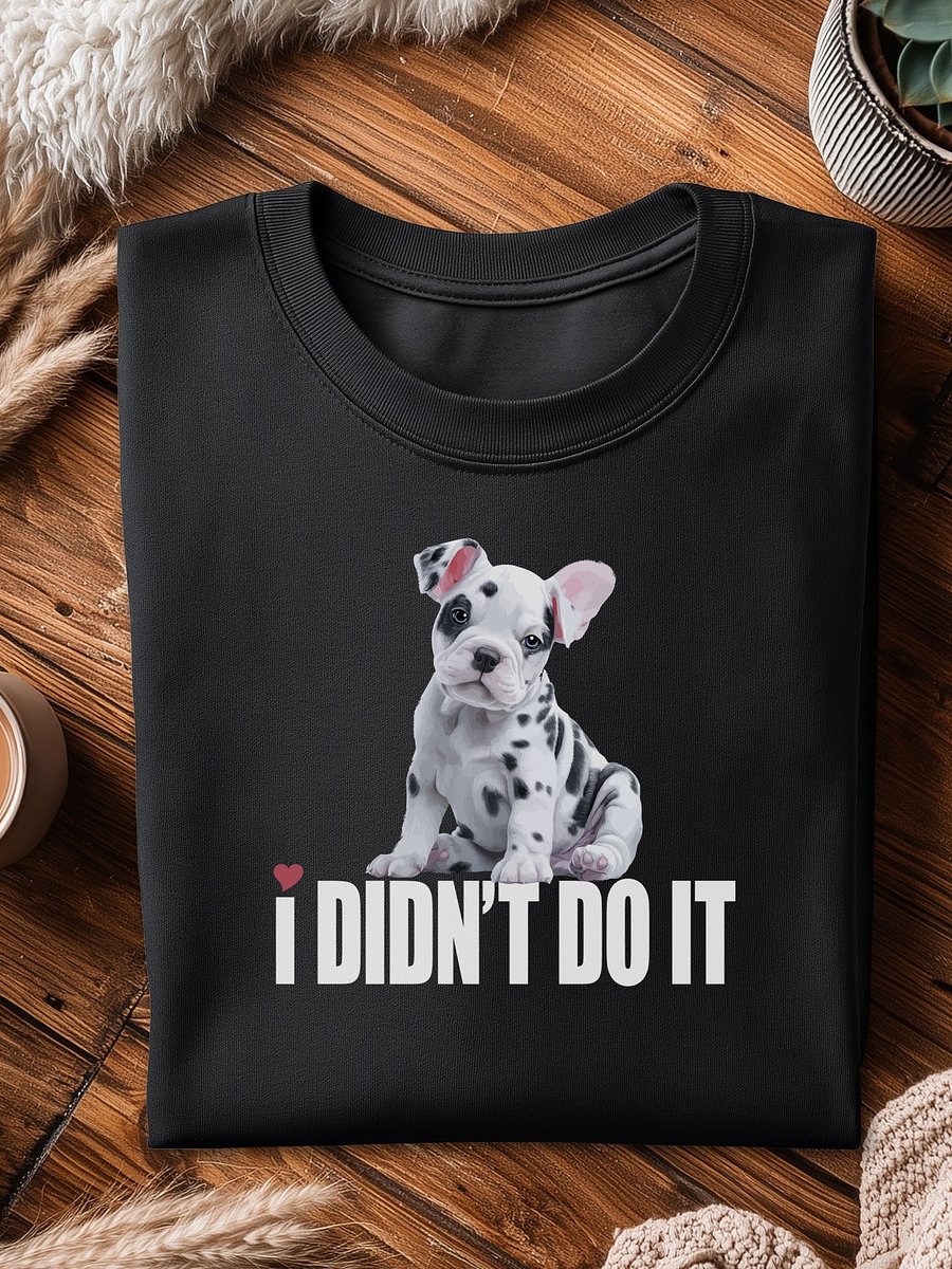 😒 I DIDN’T DO IT product image (3)