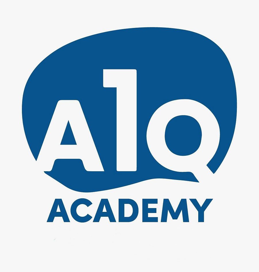 A1Q ACADEMY product image (1)