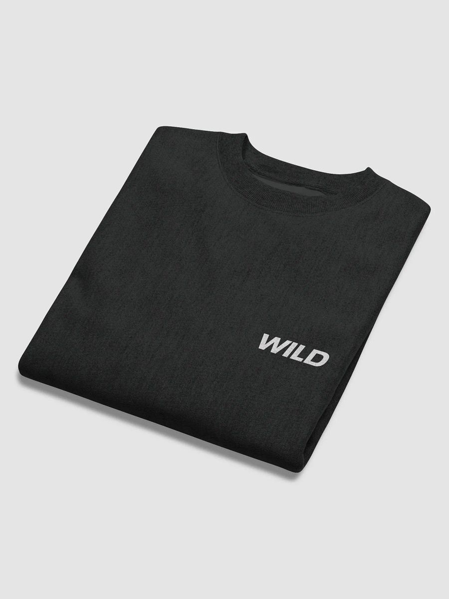 WILD ONES X Champion Crew Sweatshirt product image (6)