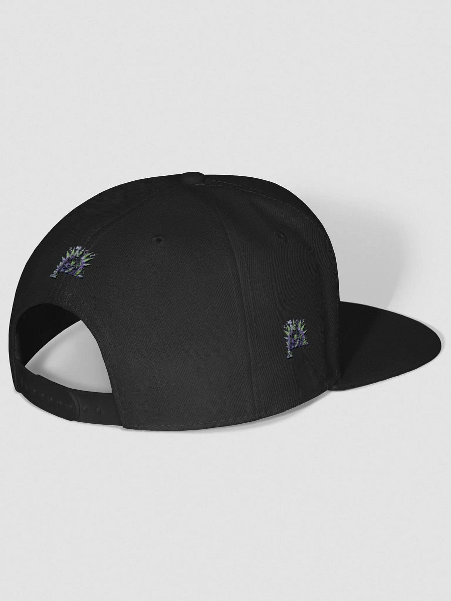 BizzWorld Drip snapback collection product image (26)