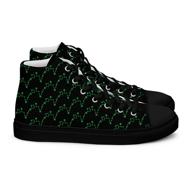 Pisces High Top Canvas Shoes product image (2)