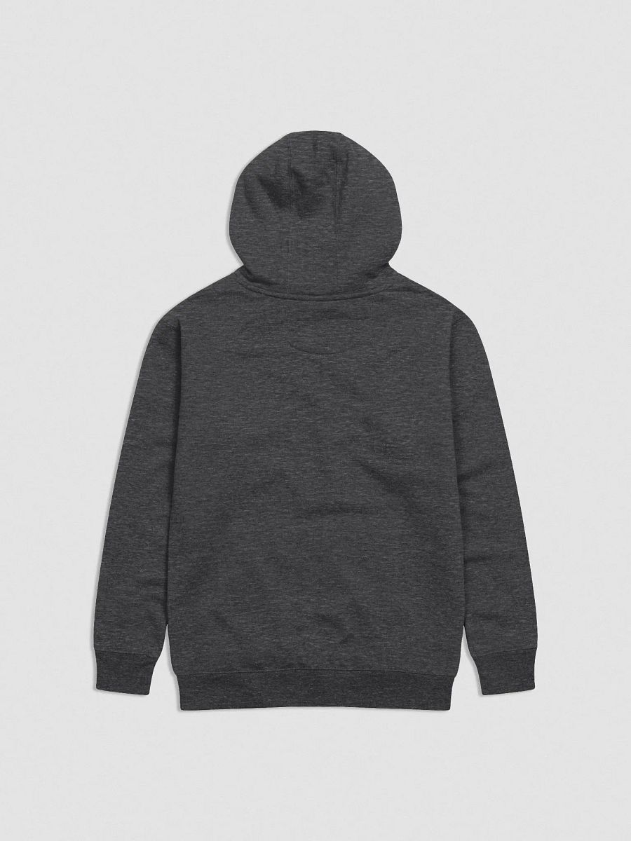 Cat on the Reformer Hoodie product image (2)