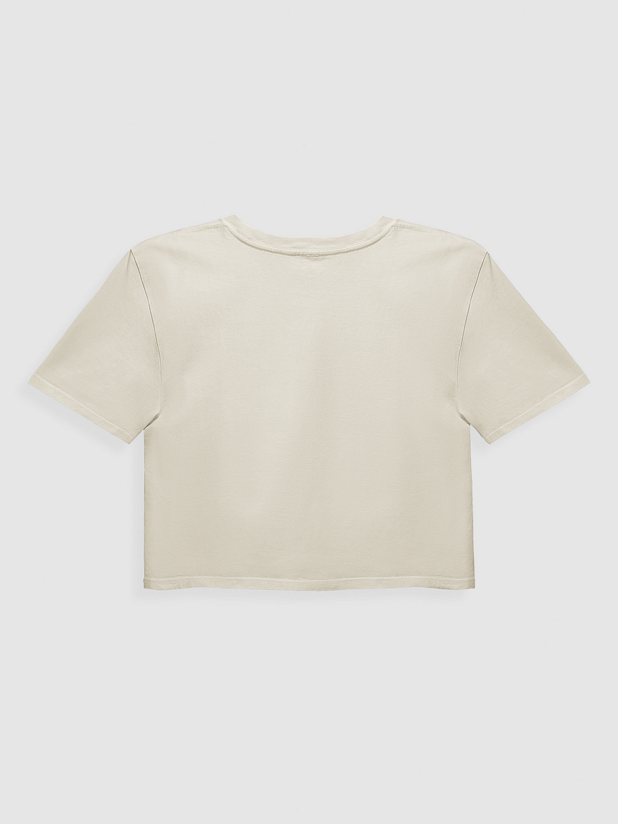Stars & Stripes Cropped Tee product image (3)