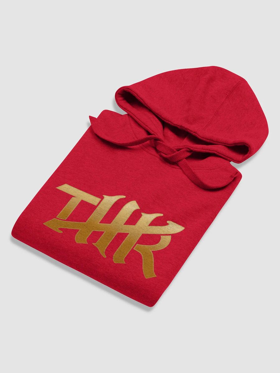 TMR Logo Hoodie product image (70)