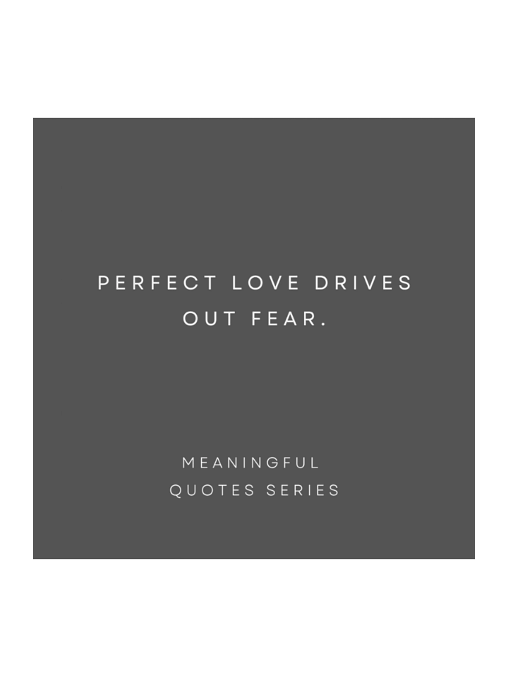 Perfect Love. product image (1)