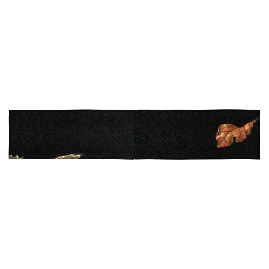 Still Life. Headband product image (2)
