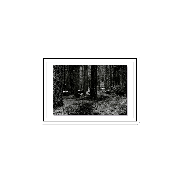 Hiking in the Buckhorn Wilderness wood's Magnets product image (2)